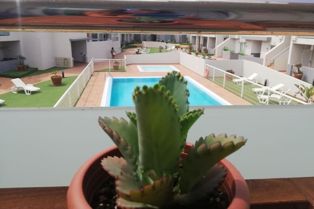 Blue Ocean Corralejo: Sunny Terrace, Pool, Wifi Apartment Luaran gambar